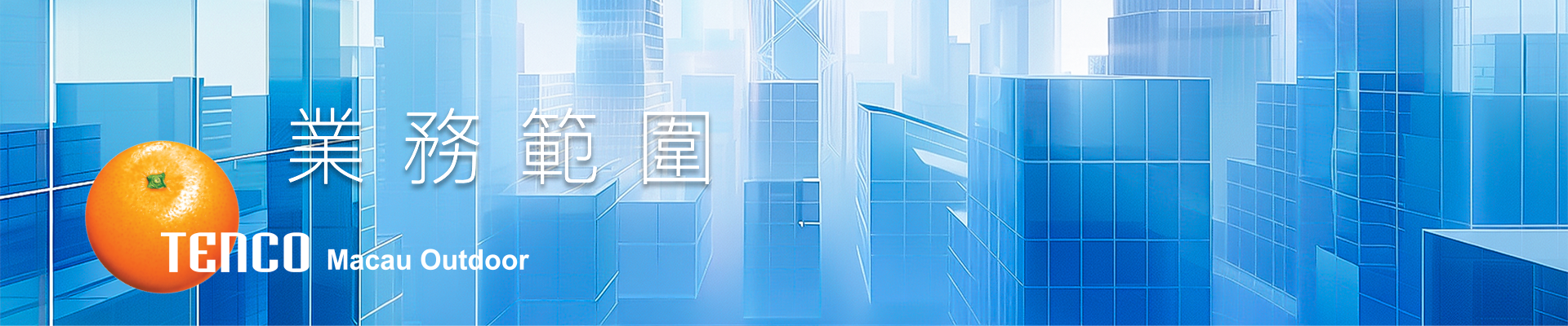 Business Scope